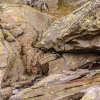DSC05005