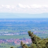 Blick auf die Rheinebene mit Hambacher Schloß