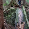 Cypress Mountain