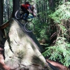 Mount Fromme