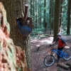 Mount Fromme