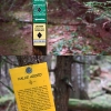 Squamish