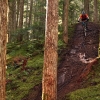 Whistler