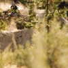 Kamloops Bike Ranch