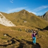 36531