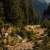 37562